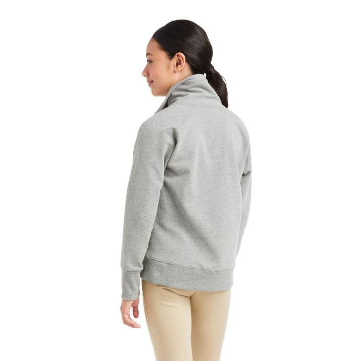 Ariat Team Logo Full Zip Sweatshirt Grau | 9aqEn7uA