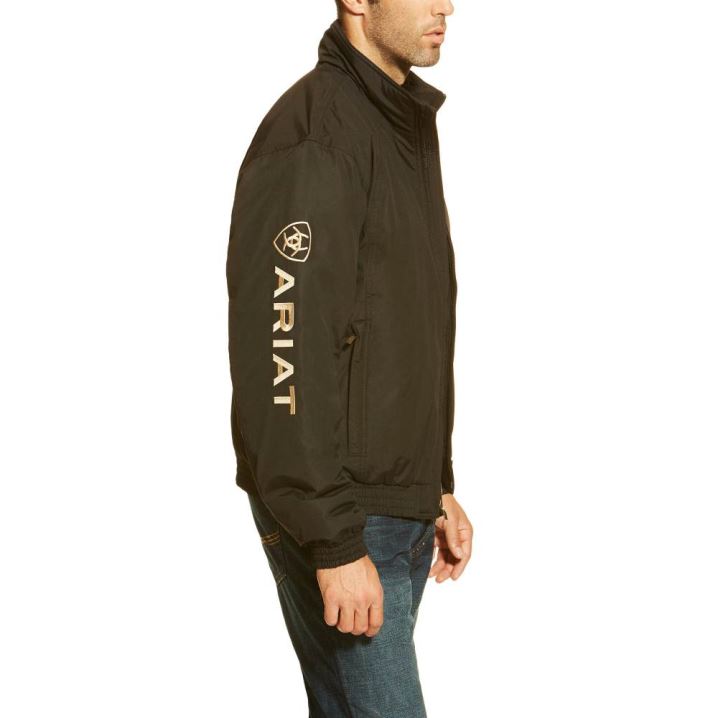 Ariat Team Logo Insulated Jacket Schwarz | hwzKUtoK