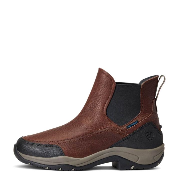 Ariat Terrain Blaze Wasserdichte Boot Dunkelbraun | G7cVmnux