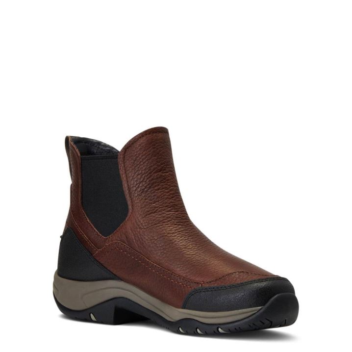 Ariat Terrain Blaze Wasserdichte Boot Dunkelbraun | G7cVmnux