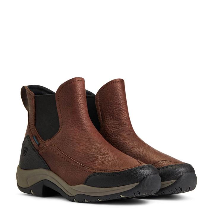 Ariat Terrain Blaze Wasserdichte Boot Dunkelbraun | G7cVmnux