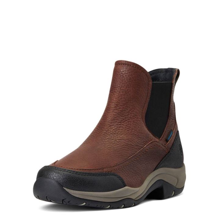 Ariat Terrain Blaze Wasserdichte Boot Dunkelbraun | G7cVmnux