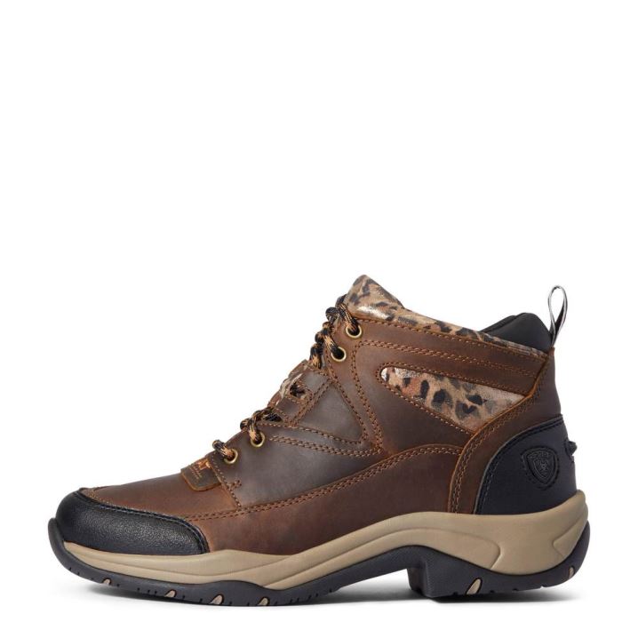 Ariat Terrain Boot Braun | g1c3hCCS