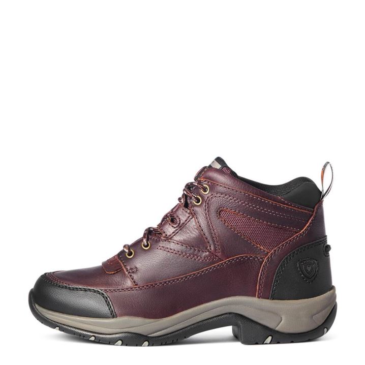 Ariat Terrain Boot Dunkelbraun | j2CnciHX