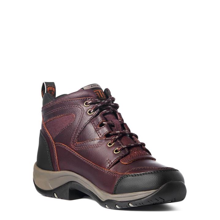 Ariat Terrain Boot Dunkelbraun | j2CnciHX