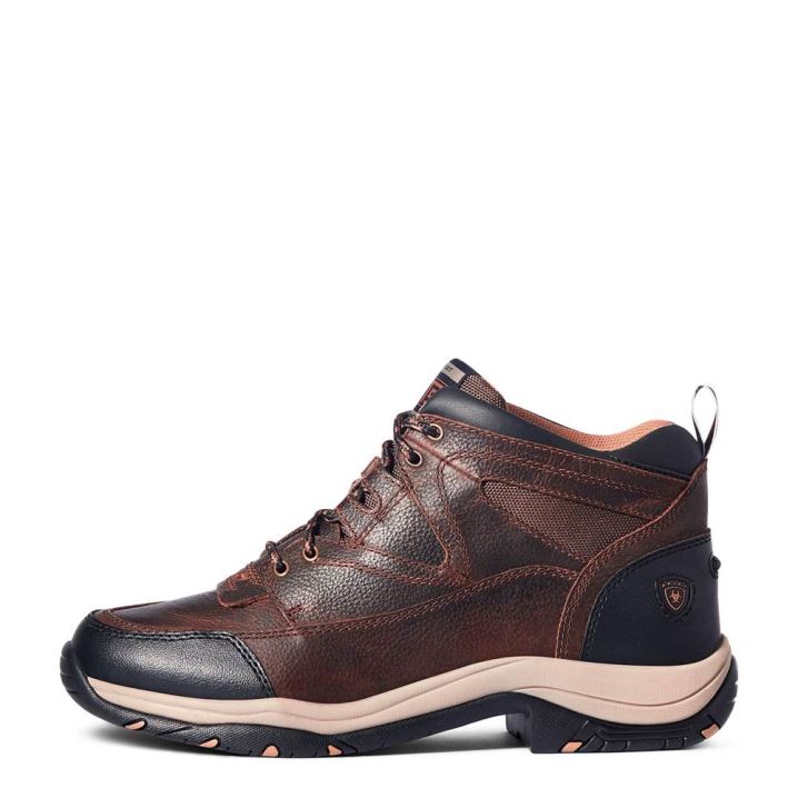 Ariat Terrain Braun | ilzF8Xht