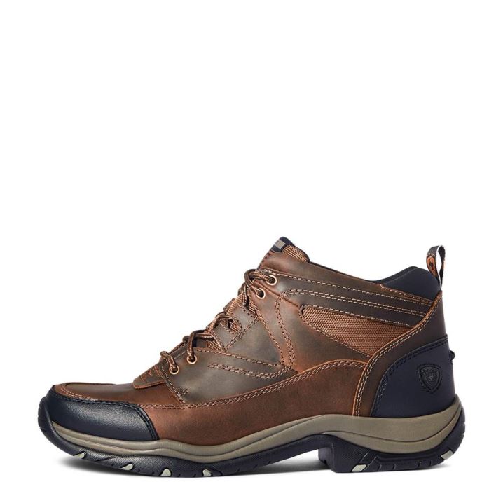 Ariat Terrain Braun | nkEMVErX