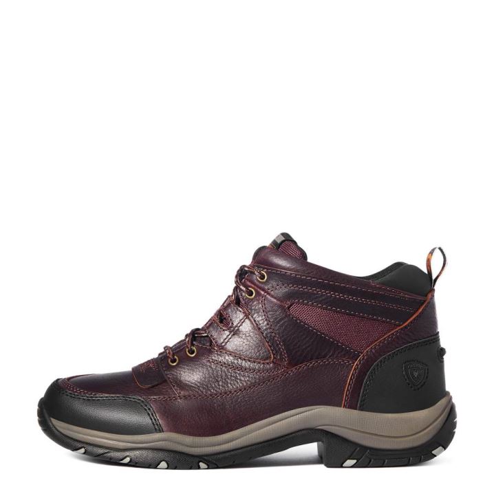 Ariat Terrain Dunkelbraun | PMgRDhOj