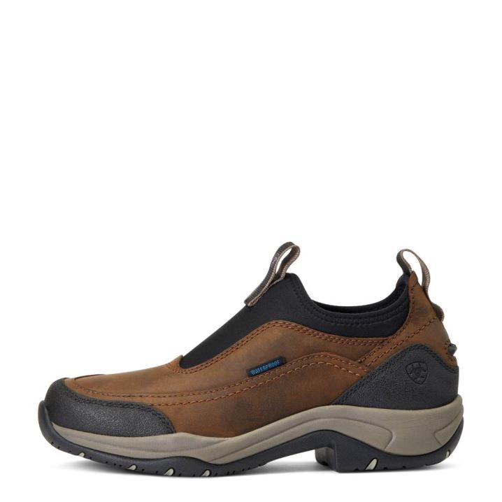 Ariat Terrain Ease Wasserdichte Braun | NajZBVcY