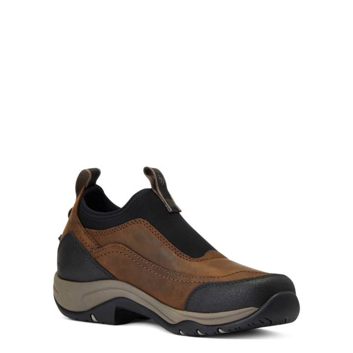 Ariat Terrain Ease Wasserdichte Braun | NajZBVcY