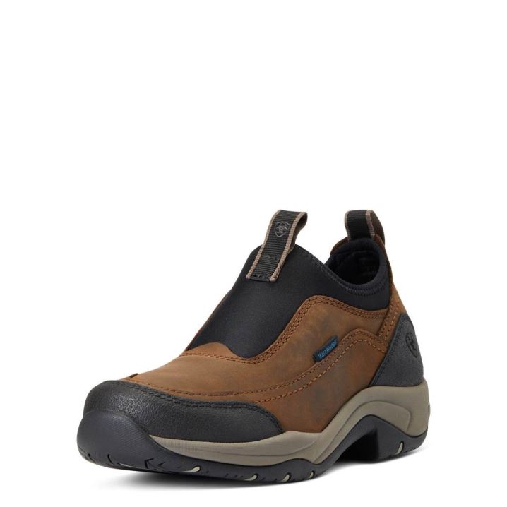 Ariat Terrain Ease Wasserdichte Braun | NajZBVcY