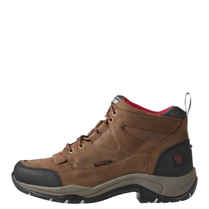 Ariat Terrain Wasserdichte Boot Braun | SHla2j2B