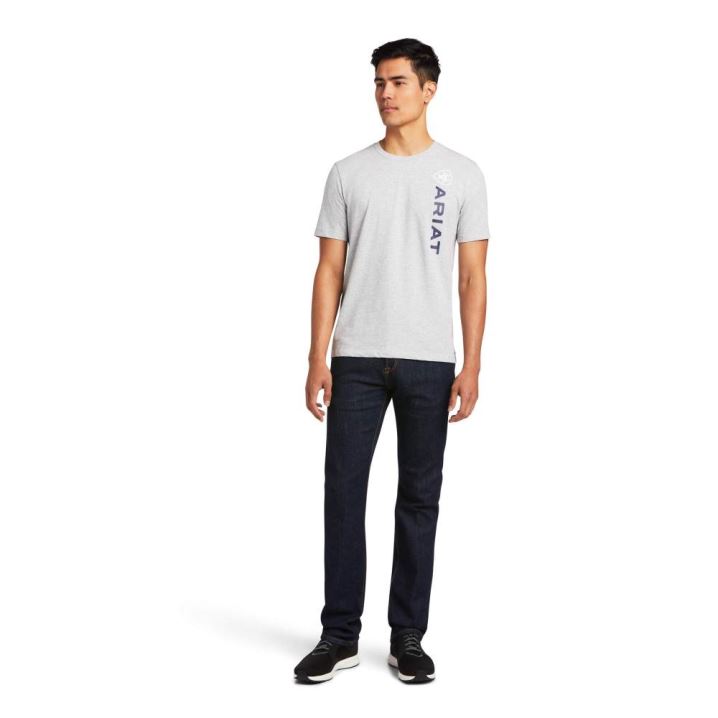 Ariat Vertical Logo T-Shirt Grau | k3Z2oNqI