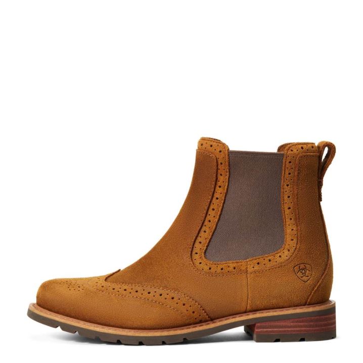 Ariat Wexford Brogue Wasserdichte Orange | Tv6bXjGn