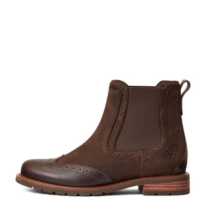 Ariat Wexford Brogue Wasserdichte Schokolade Braun | YtxA1iDO