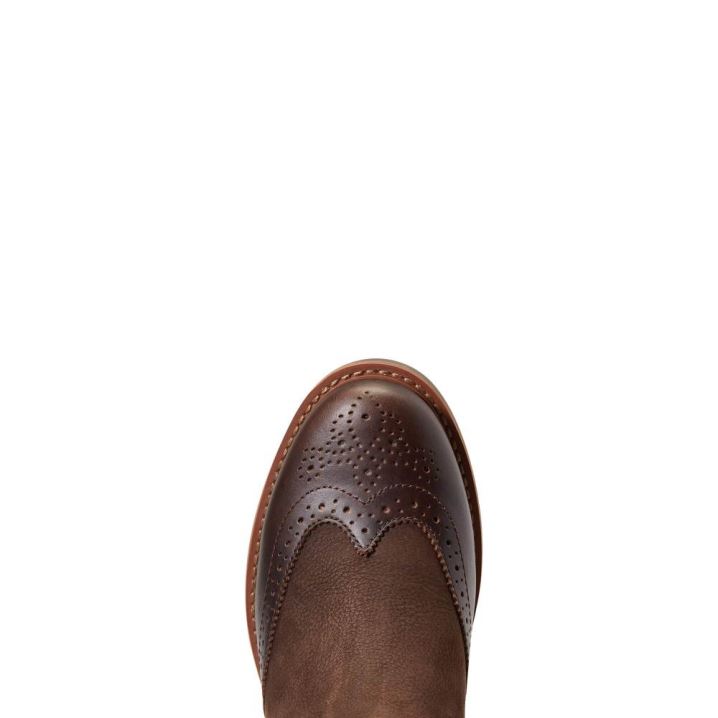 Ariat Wexford Brogue Wasserdichte Schokolade Braun | YtxA1iDO