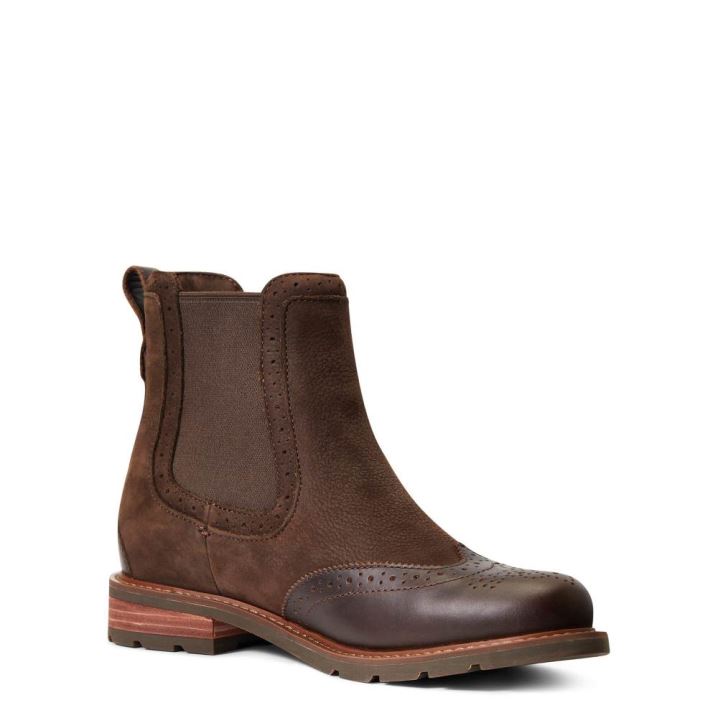 Ariat Wexford Brogue Wasserdichte Schokolade Braun | YtxA1iDO