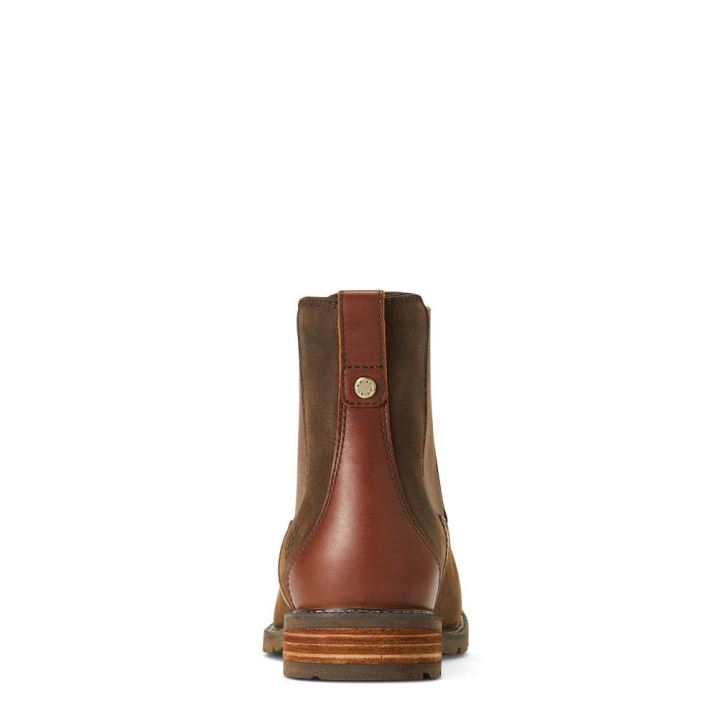 Ariat Wexford Wasserdichte Boot Java | jCGKZSog