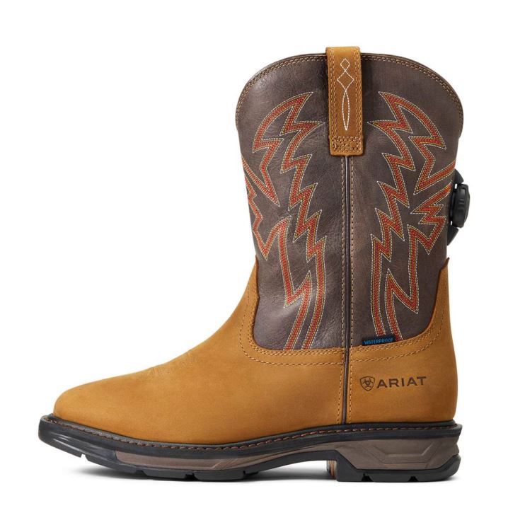 Ariat WorkHog XT BOA Wasserdichte Arbeits Boot Aged Bark | uB5OYew7